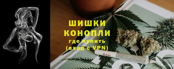 винт Липки