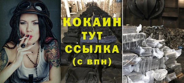 винт Липки