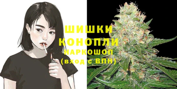 винт Липки