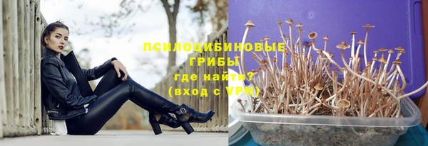 винт Липки
