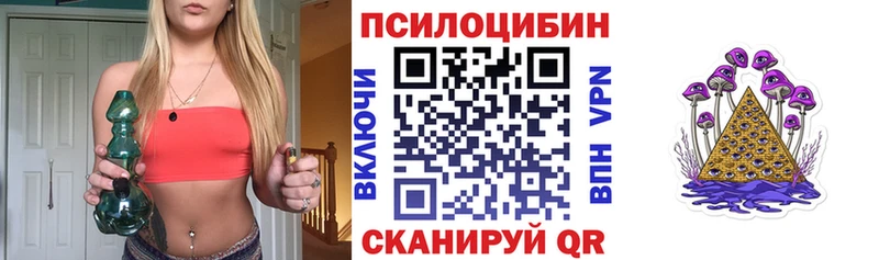 Псилоцибиновые грибы Psilocybine cubensis  Магадан 