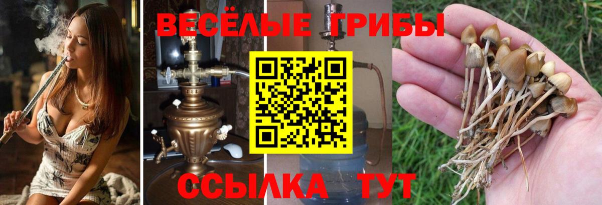 Магадан  Псилоцибиновые грибы мухоморы  Вход с VPN  Галлюциногенные грибы GOLDEN TEACHER 