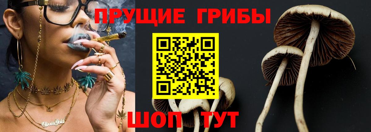 Псилоцибиновые грибы Magic Shrooms Магадан