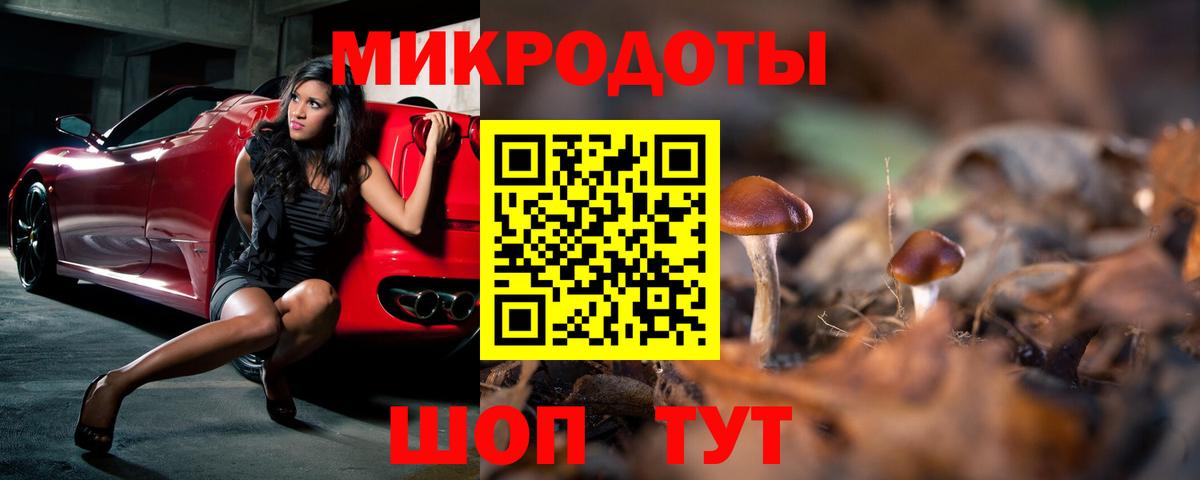 Галлюциногенные грибы Magic Shrooms  Магадан  Псилоцибиновые грибы GOLDEN TEACHER 